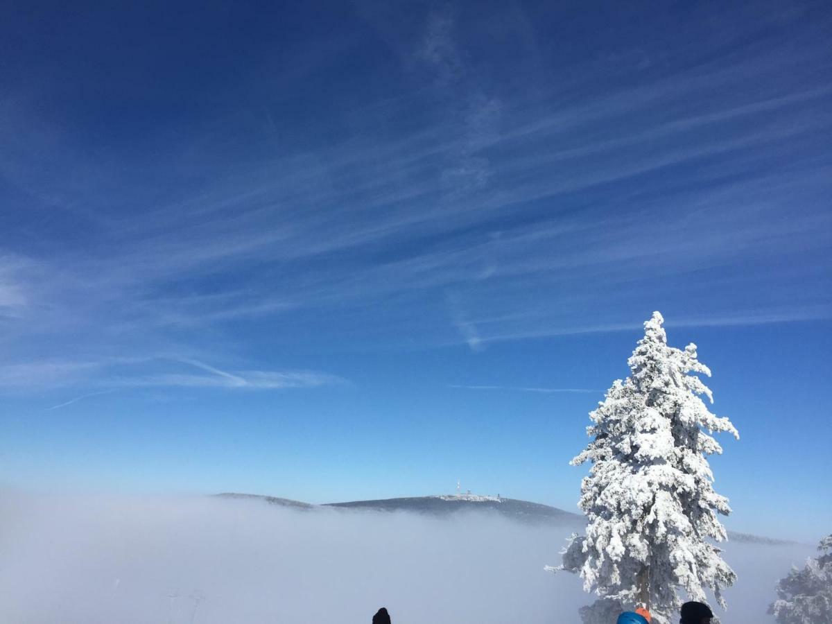 Ferienwohnung Harz-Flair 264 Hohegeiß Zewnętrze zdjęcie