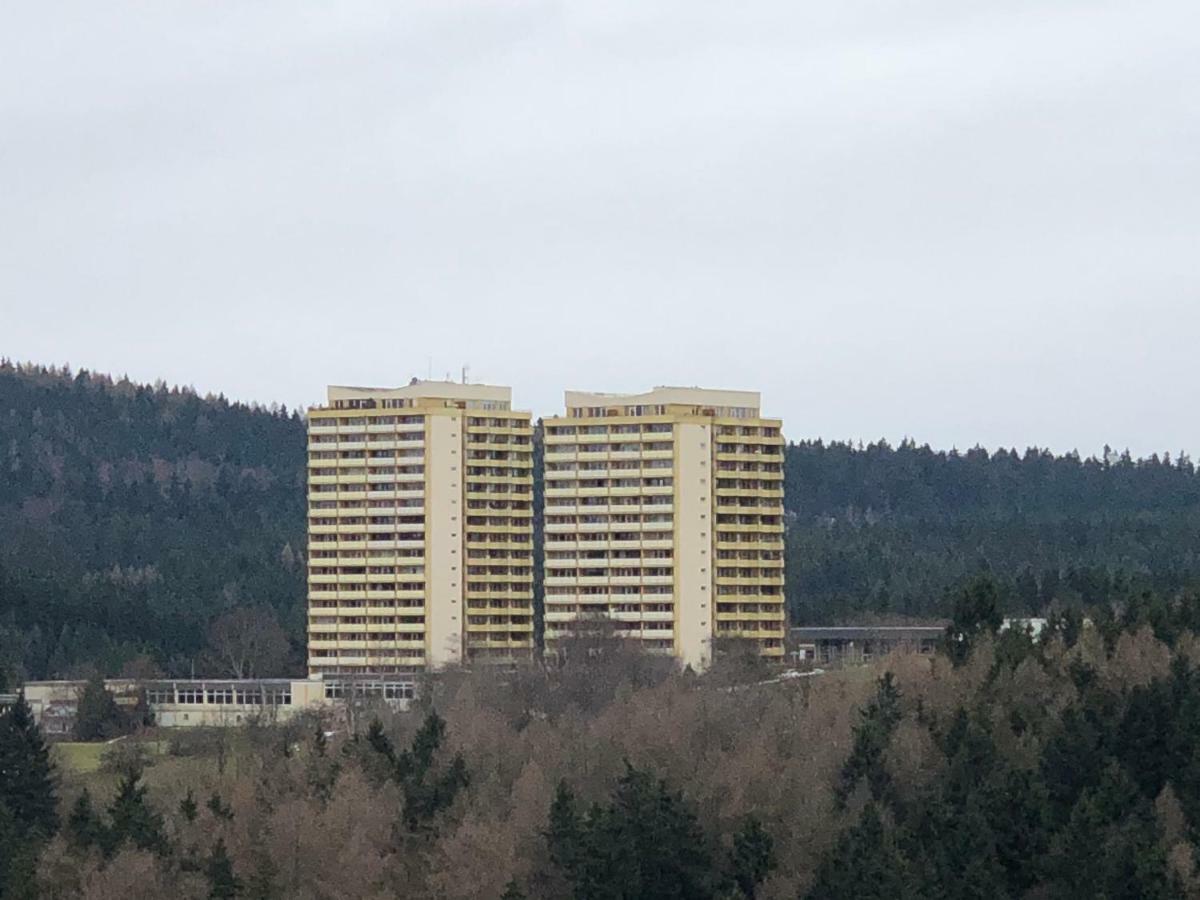 Ferienwohnung Harz-Flair 264 Hohegeiß Zewnętrze zdjęcie